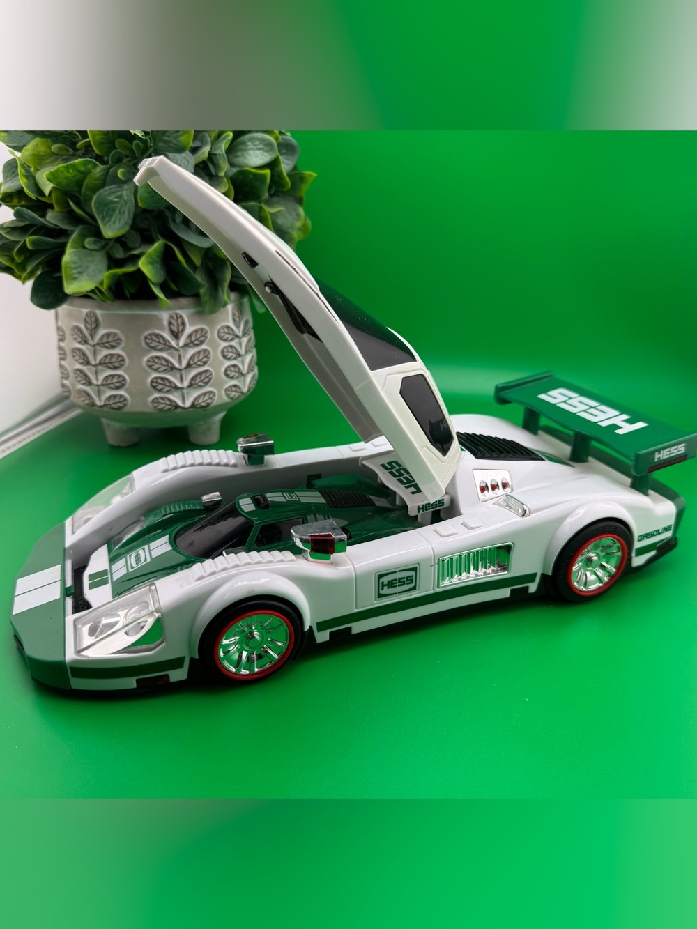 2009 HESS Race Car and Racer